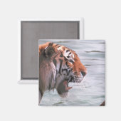 Tiger im Wasser jammen Magnet (Vorderseite/Rückseite)