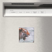 Tiger im Wasser jammen Magnet (In Situ (Geschirrspüler))