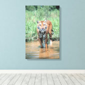 Tiger im Wasser Leinwanddruck (Insitu (Holzboden))