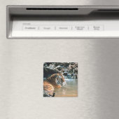 Tiger im Wasser Magnet (In Situ (Geschirrspüler))