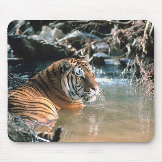 Tiger im Wasser Mousepad (Vorne)