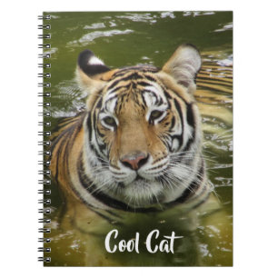 Tiger im Wasser Notizblock