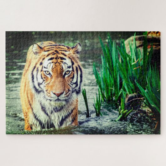 Tiger im Wasser Puzzle (Horizontal)