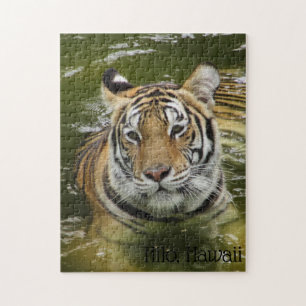 Tiger im Wasser Puzzle