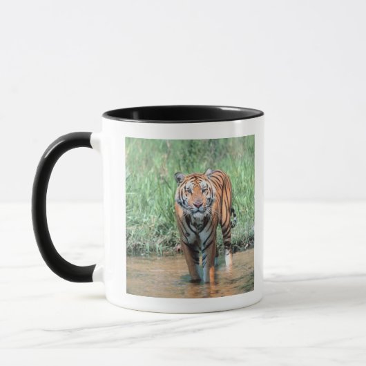 Tiger im Wasser Tasse (Links)