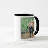 Tiger im Wasser Tasse (VorderseiteRechts)