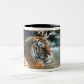 Tiger im Wasser Zweifarbige Tasse (Mittel)