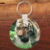Tiger im Zoo-Schlüsselanhänger von Bronx Schlüsselanhänger (Vorderseite)