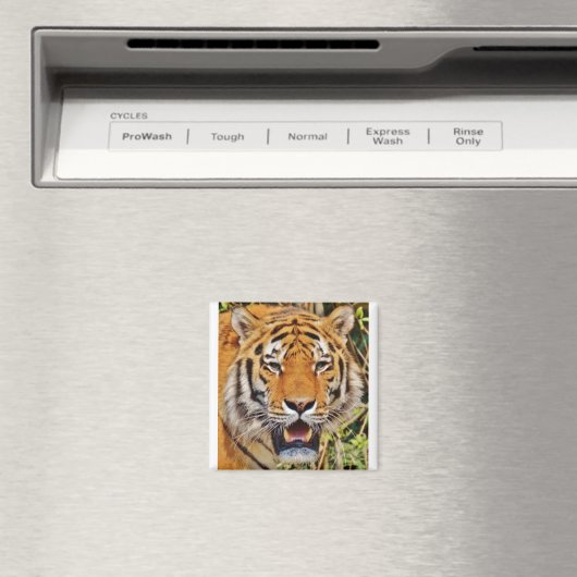Tiger Image! Magnet (In Situ (Geschirrspüler))