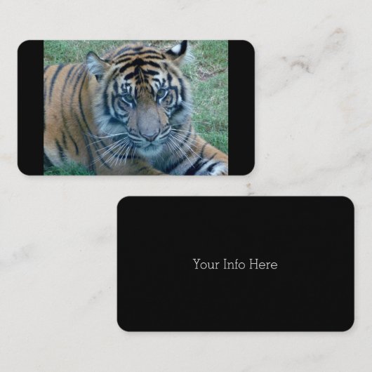 Tiger-Image-Visitenkarten Visitenkarte (Vorne/Hinten)
