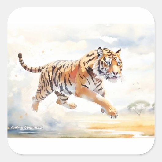 Tiger in Aktion 2 Quadratischer Aufkleber (Vorderseite)