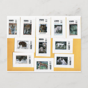 Tiger in allen 4 Farben Postkarte