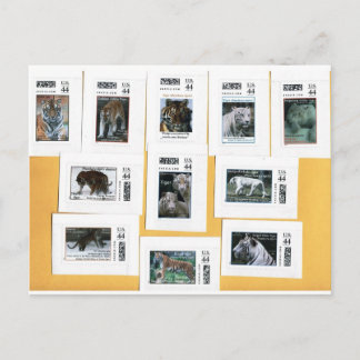 Tiger in allen 4 Farben Postkarte