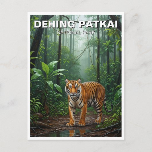 Tiger in Dehing Patkai Nationalpark Indien Reisen Postkarte (Vorderseite)