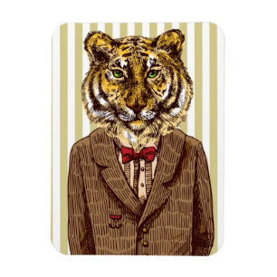 Tiger in der Abends-Abnutzung Magnet