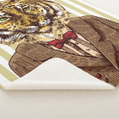 Tiger in der Abends-Abnutzung Sherpadecke (3/4)
