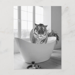 Tiger in der Badewanne Schwarz-weißes Badezimmer K Postkarte