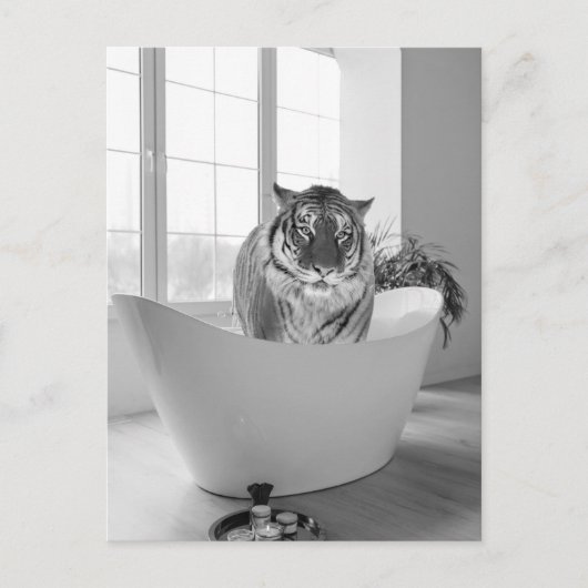 Tiger in der Badewanne Schwarz-weißes Badezimmer K Postkarte (Vorderseite)