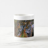TIGER IN DER LIEBE KAFFEETASSE (Mittel)