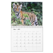 Tiger in Rot als Kalender (Mär 2027)