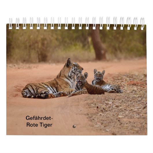 Tiger in Rot als Kalender (Titelbild)