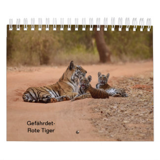 Tiger in Rot als Kalender