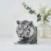 Tiger in Schwarz und Weiß Postkarte (Stehend Vorderseite)