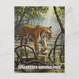 Tiger in Sundarbans National Park Indien Postkarte
