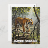 Tiger in Sundarbans National Park Indien Postkarte (Vorne/Hinten)