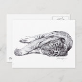Tiger - Injektor und Tinte Postkarte (Vorne/Hinten)