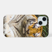 Tiger iPhone 15 Hülle (Rückseite (Horizontal))