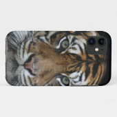 Tiger iPhone Fall Case-Mate iPhone Hülle (Rückseite (Horizontal))