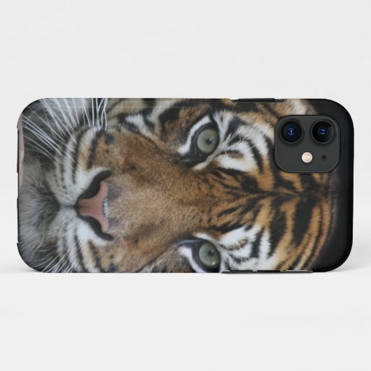 Tiger iPhone Fall Case-Mate iPhone Hülle (Rückseite (Horizontal))