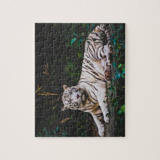 Tiger Jigsaw Puzzle (Vertikal)