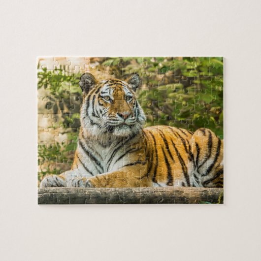 Tiger Jigsaw Puzzle sitzend (Horizontal)