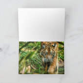 TIGER JUGEND DER NATION SUMATRA KARTE (Innenseite)