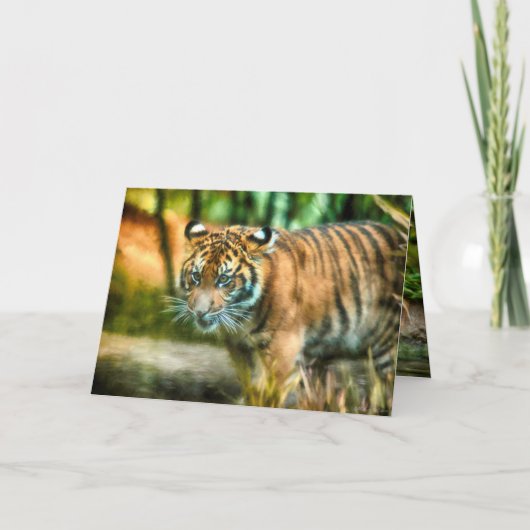 TIGER JUGEND DER NATION SUMATRA KARTE (Vorderseite)