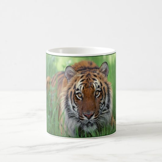 Tiger Kaffeetasse (Mittel)