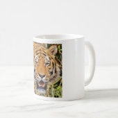 Tiger Kaffeetasse (VorderseiteRechts)