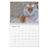 Tiger Kalender (Feb 2027)