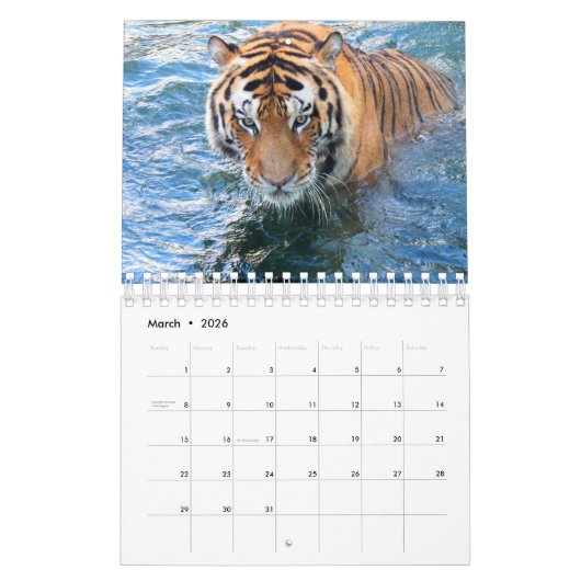Tiger Kalender (Mär 2026)
