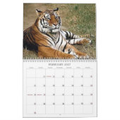 Tiger Kalender (Feb 2027)