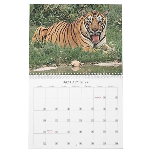 Tiger Kalender (Jan 2027)