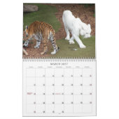 Tiger Kalender (Mär 2027)