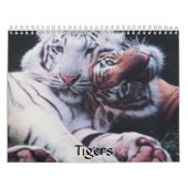 Tiger Kalender (Titelbild)