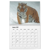 Tiger-Kalender Kalender (Jan 2027)