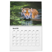 Tiger-Kalender Kalender (Mär 2026)
