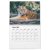 Tiger-Kalender Kalender (Feb 2026)