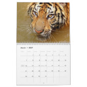 Tiger-Kalender Kalender (Mär 2027)