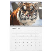 Tiger-Kalender Kalender (Jan 2027)